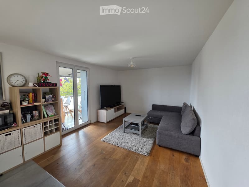 Bel appartement 3 pièces (3)