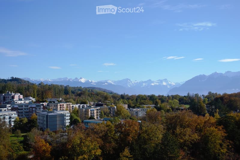 Studio dans les hauts de Lausanne (2)