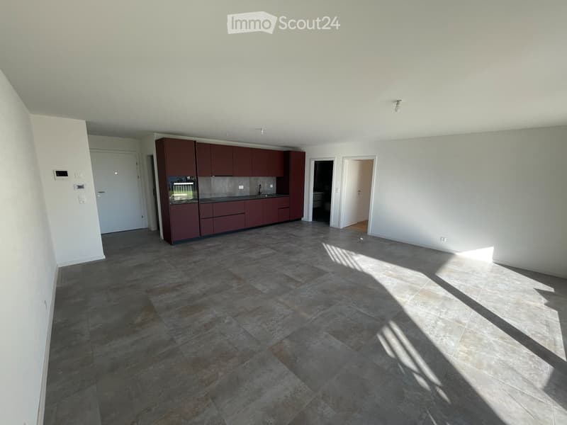 Lumineux appartement neuf (1)
