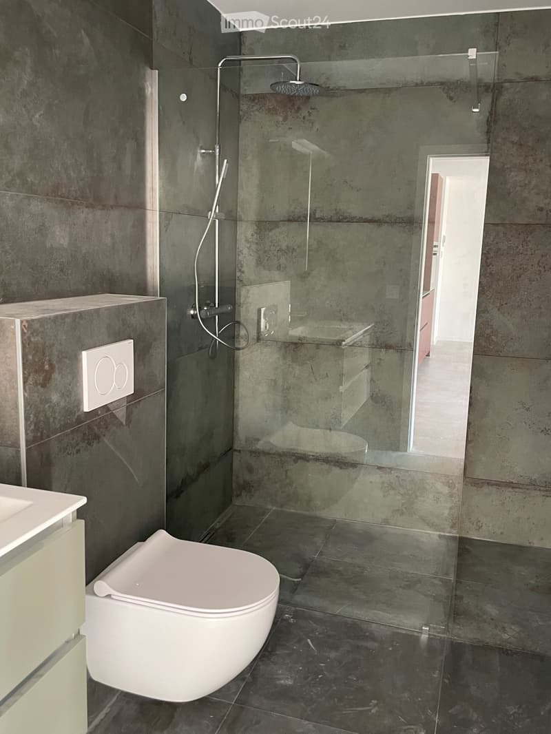 Lumineux appartement neuf (5)