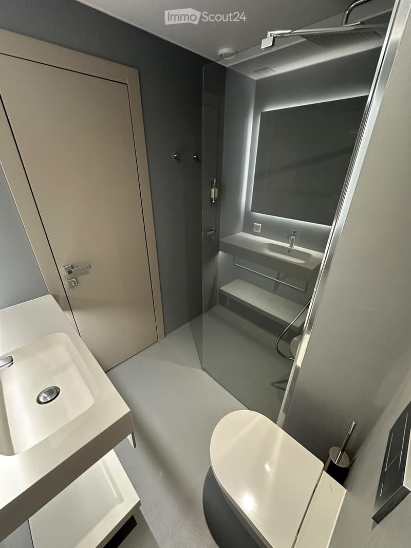 Appartement 2 chambres (salles de bain privatives) près EPFL (4)