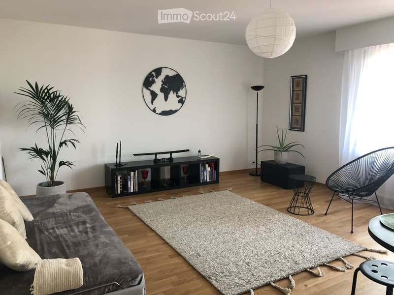 Appartement 4,5 pièces à louer (4)