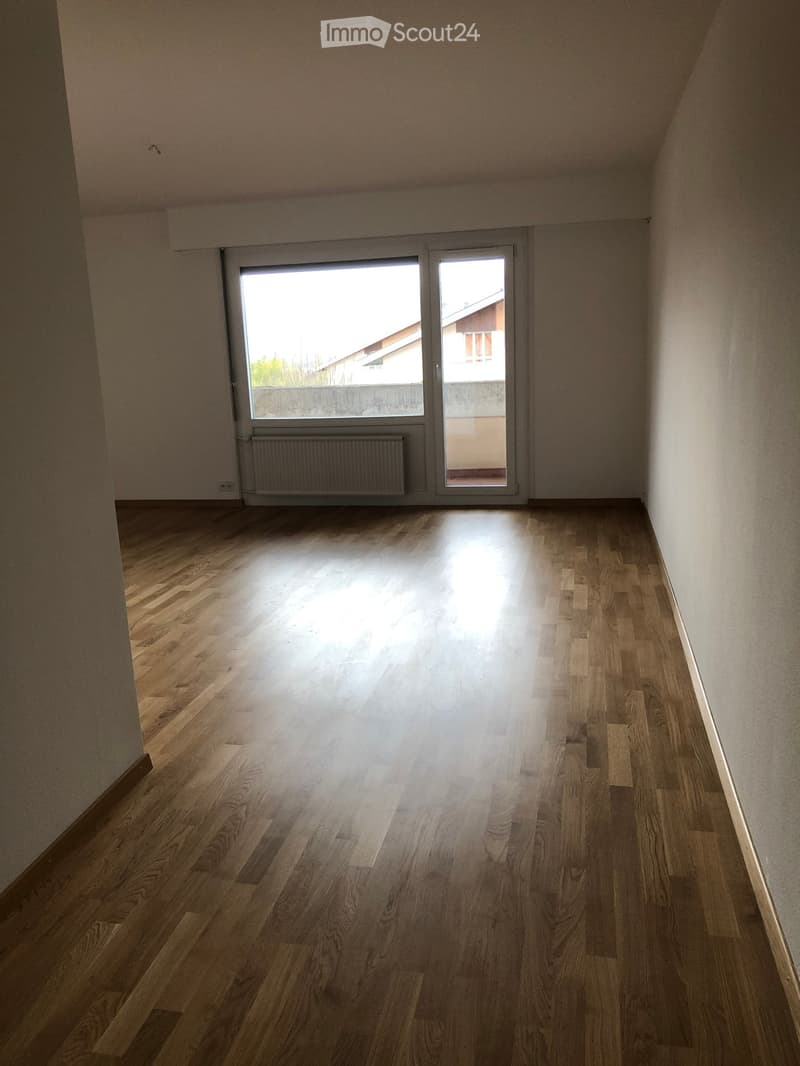 Appartement 4,5 pièces à louer (2)
