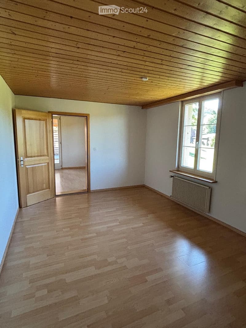 Schöne Wohnung in Rohrbach (1)