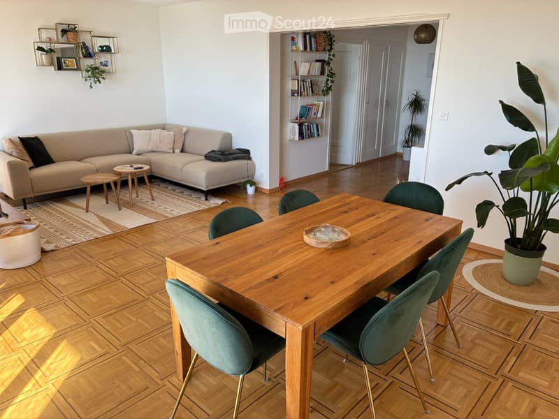 Grand appartement 3.5 pièces - Calme, lumineux, vue lac (2)