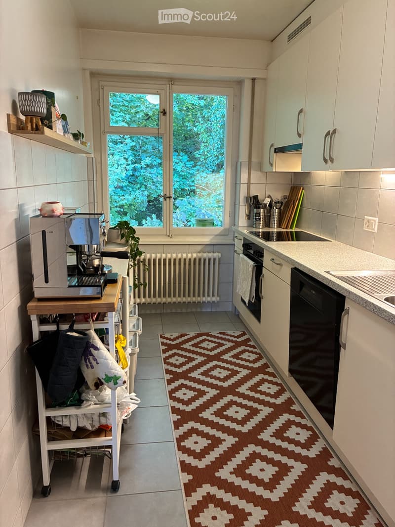 Grand appartement 3.5 pièces - Calme, lumineux, vue lac (5)
