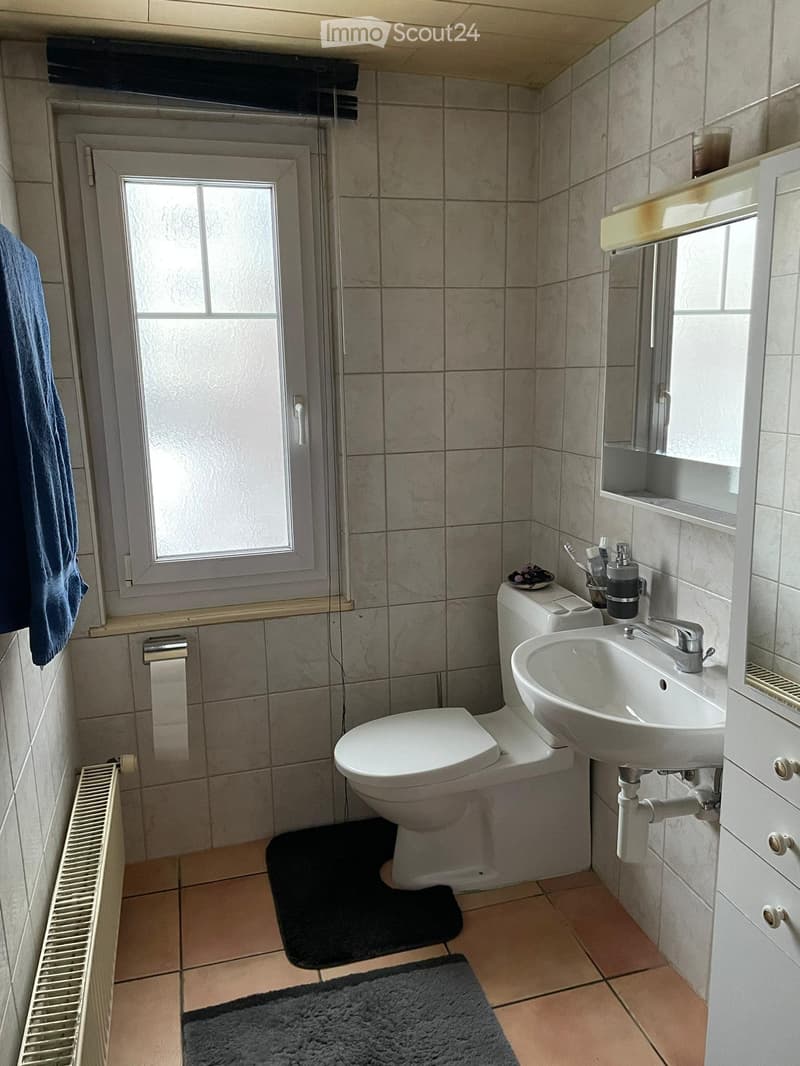 A louer appartement 3,5 pc (5)