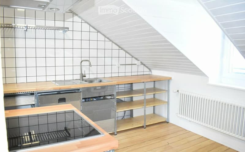 APPARTEMENT AVEC TERRASSE ET PETIT JARDIN D'HIVER (4)