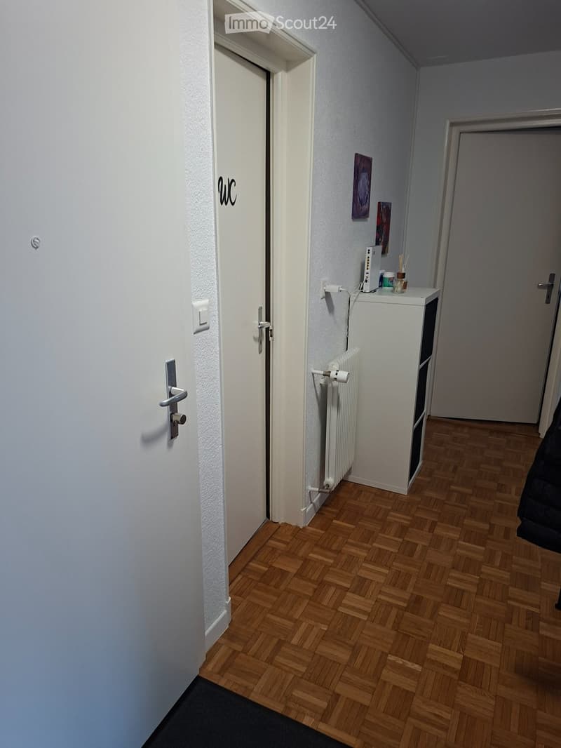 Belle appartement 3.5 pces à Villeneuve (1)