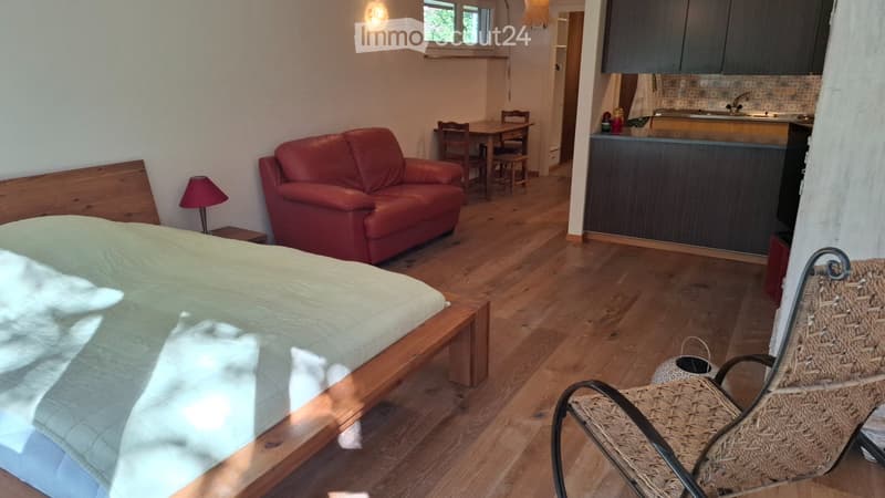 Appartement meublé à louer dans maison individuelle (2)
