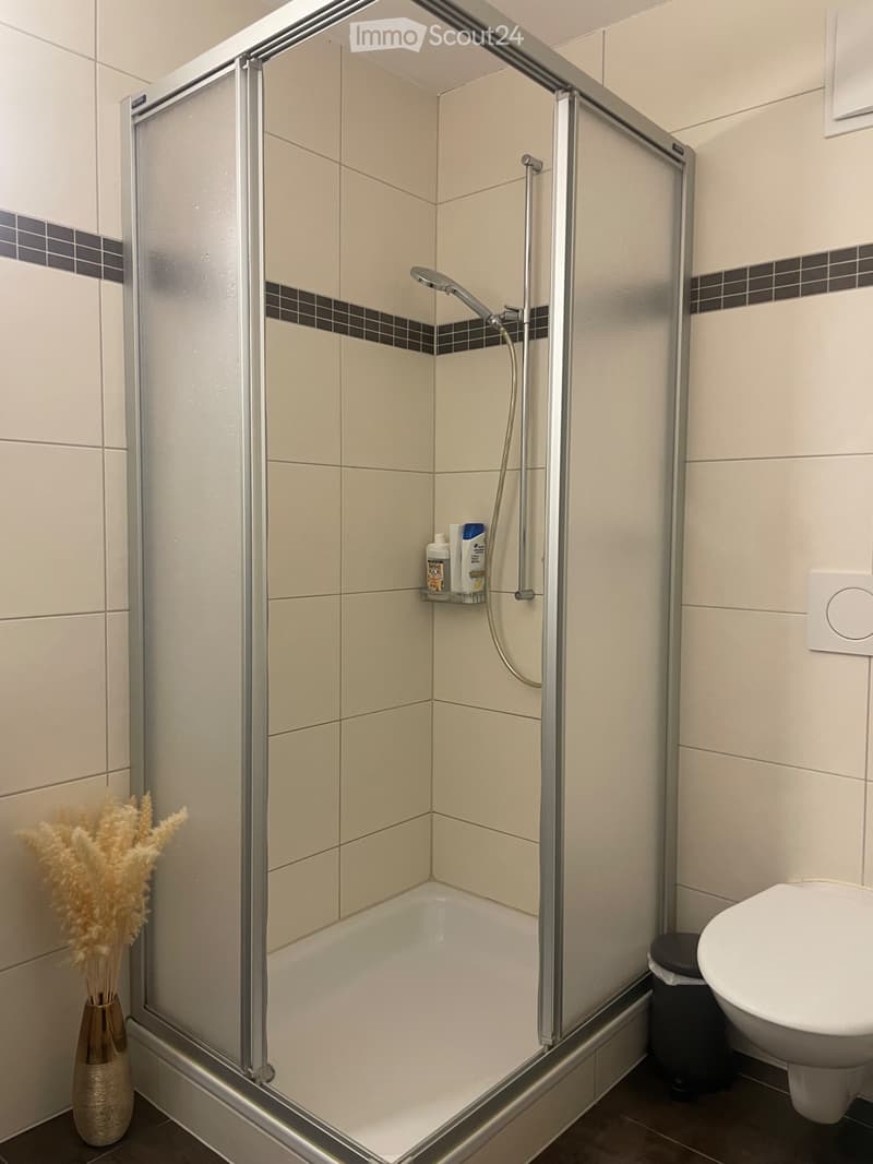 Reprise de bail Lumineux 3,5 pièces de 85 m² à La Roche (3)