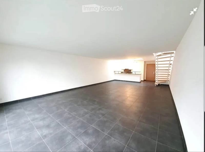 À REMETTRE RAPIDEMENT Appartement 3,5 pièces de 116m2 (3)