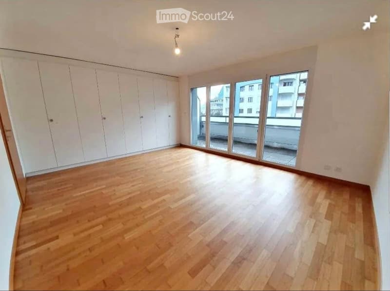 À REMETTRE RAPIDEMENT Appartement 3,5 pièces de 116m2 (4)