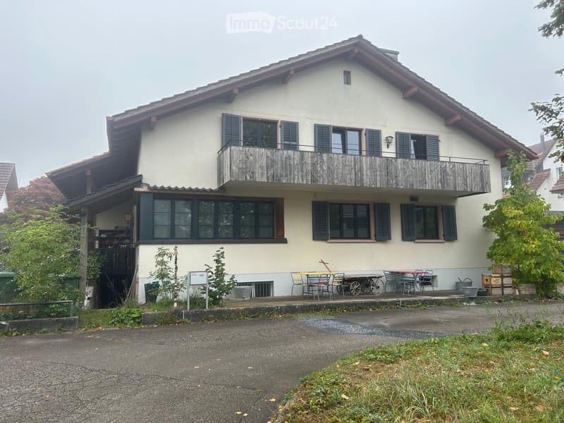 Grosses Einfamilienhaus in ländlicher Umgebung (1)
