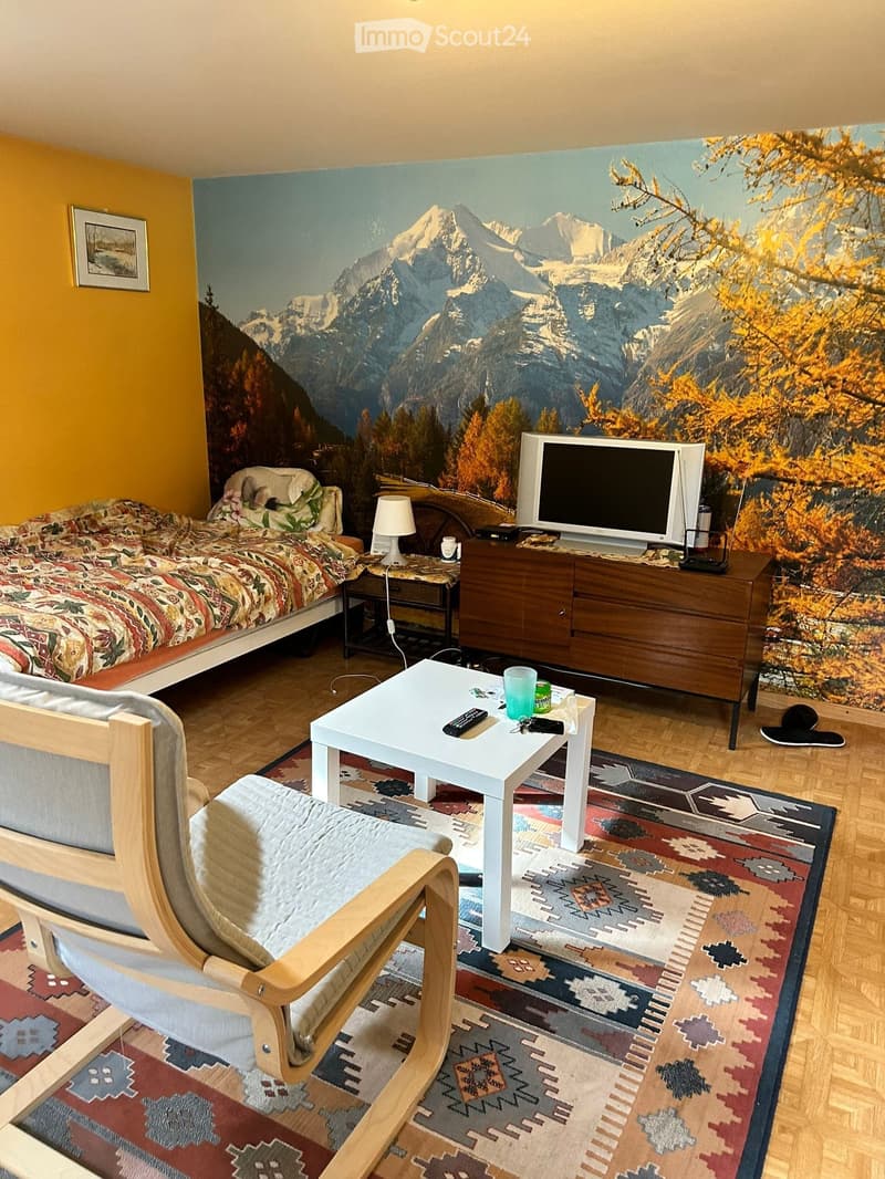 Studio à louer à Bernex dans villa (3)