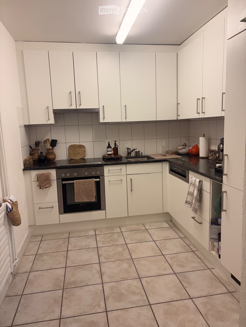 Grand 2,5 pièces avec terrasse en basse ville à Fribourg (4)