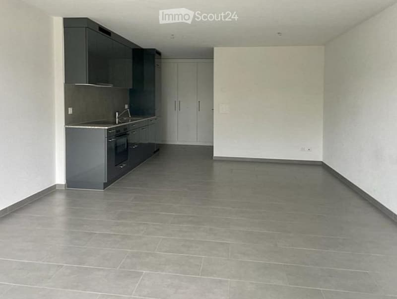 Grand studio 1.5 près avec balcon à Billens (1)