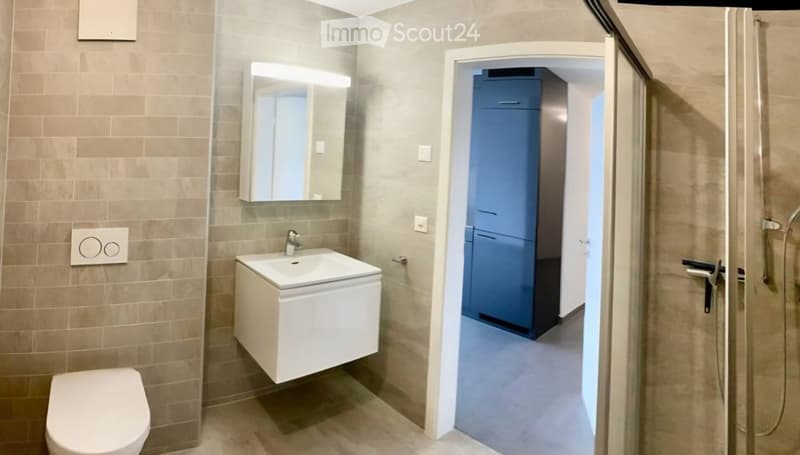 Grand studio 1.5 près avec balcon à Billens (2)