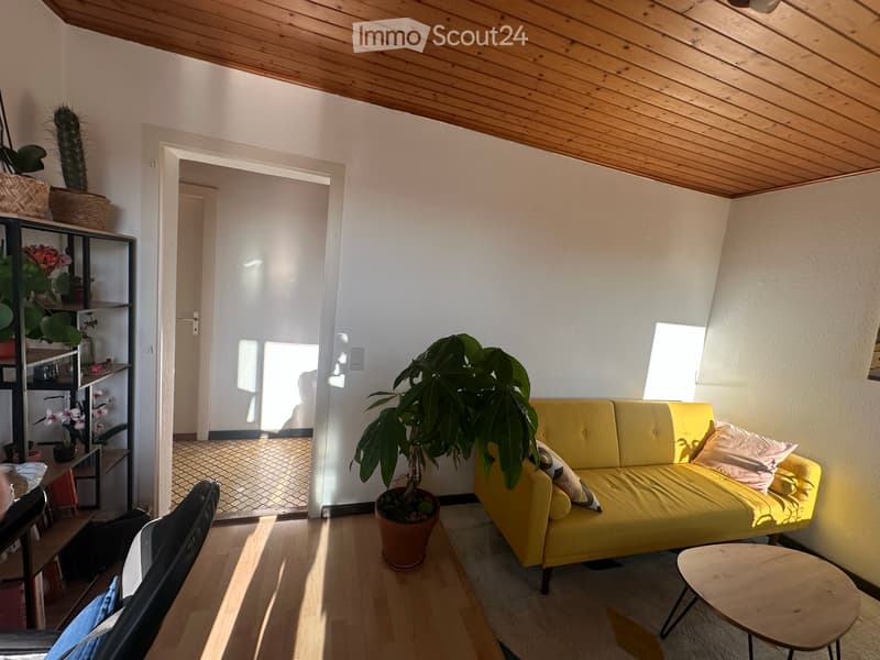 Appartement 3.5 pièces - condominium (3)
