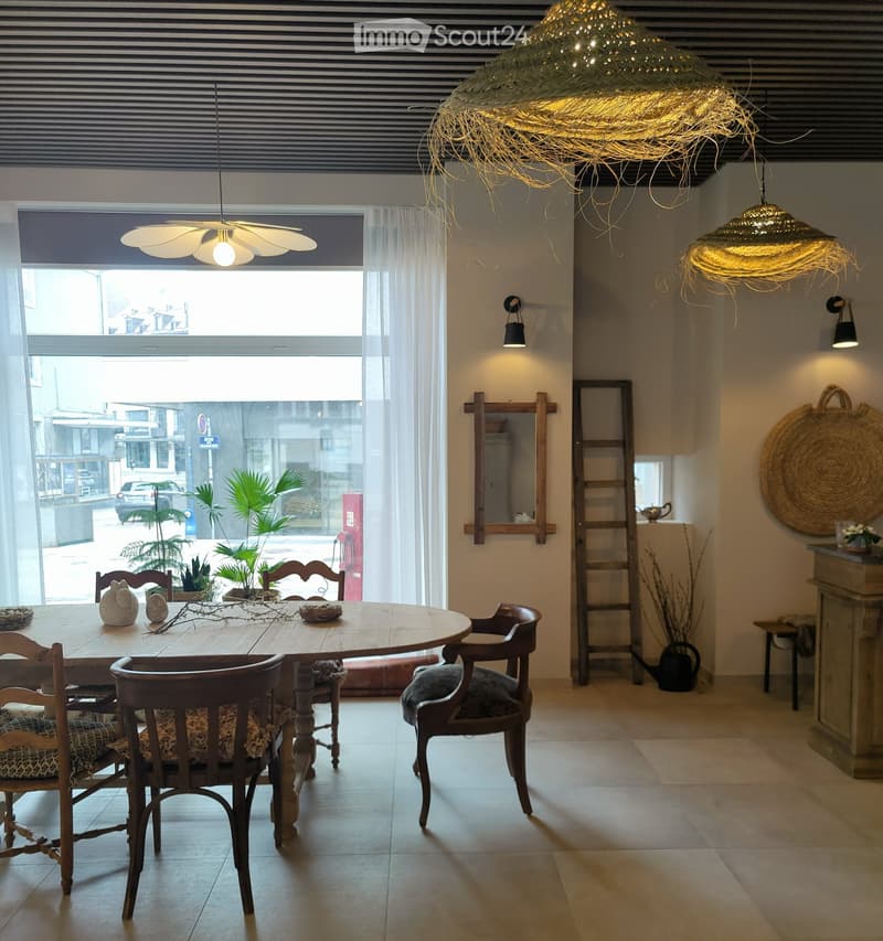 Appartement encadré, 3,5 pces (3)