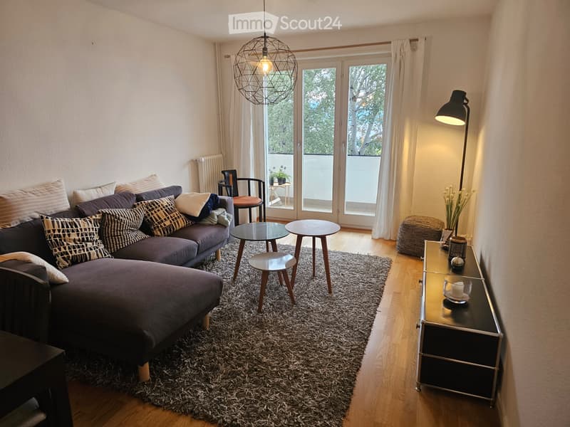 Appartement meublé avec reprise de bail à terme (3)