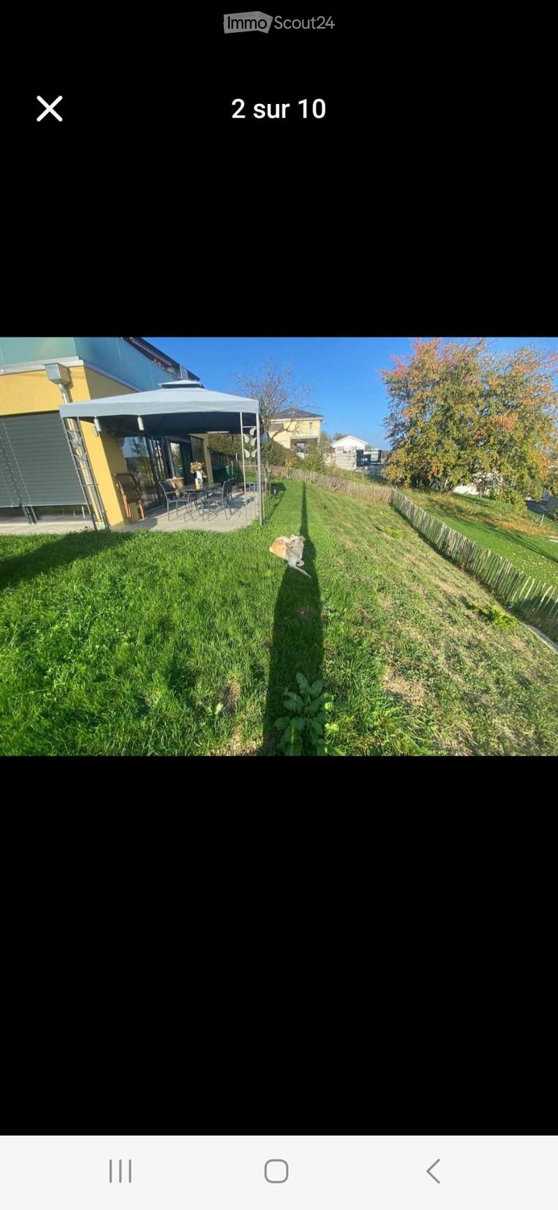 Appartement de 4.5 pièces avec grand jardin (4)