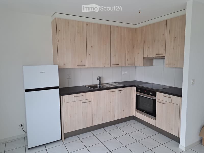Appartement 1,5 p (1)