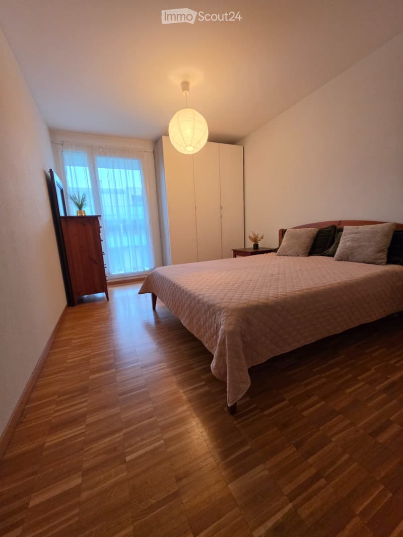 SUPERBE APPARTEMENT 4 PIÈCES MEUBLÉ  VERSOIX (5)