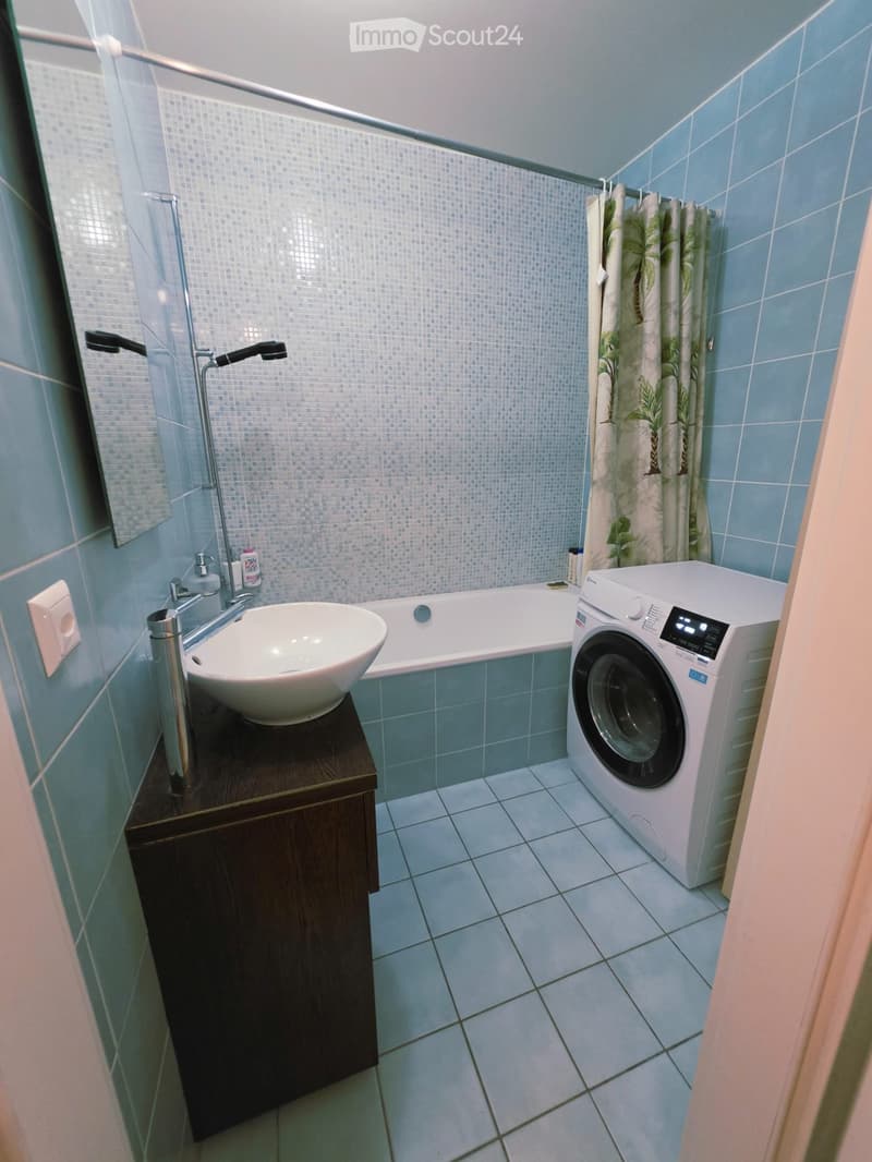 SUPERBE APPARTEMENT 4 PIÈCES MEUBLÉ  VERSOIX (6)