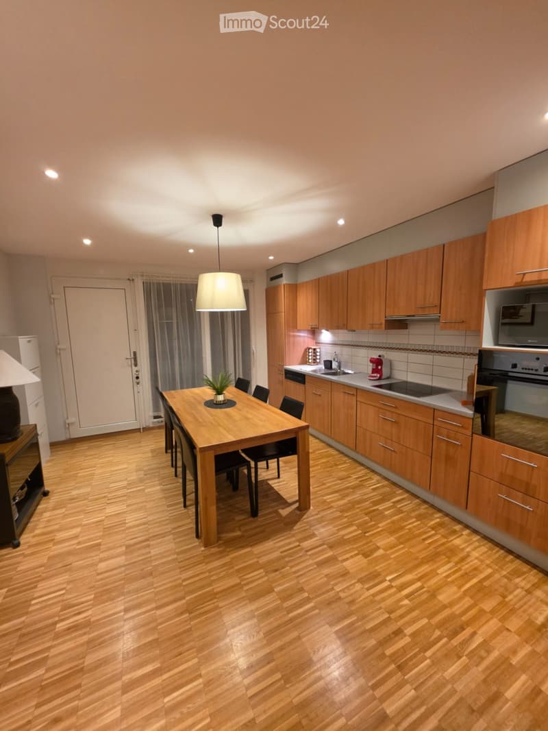 SUPERBE APPARTEMENT 4 PIÈCES MEUBLÉ  VERSOIX (2)