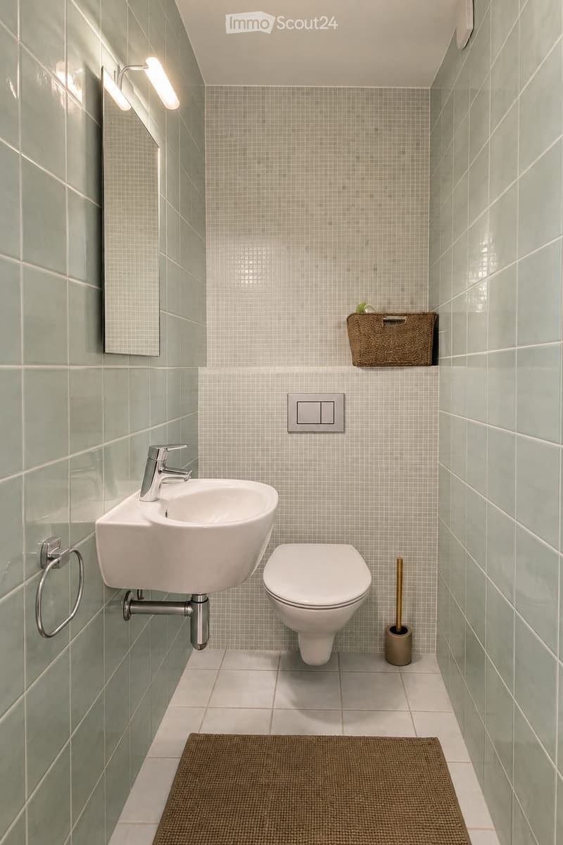 SUPERBE APPARTEMENT 4 PIÈCES MEUBLÉ  VERSOIX (7)