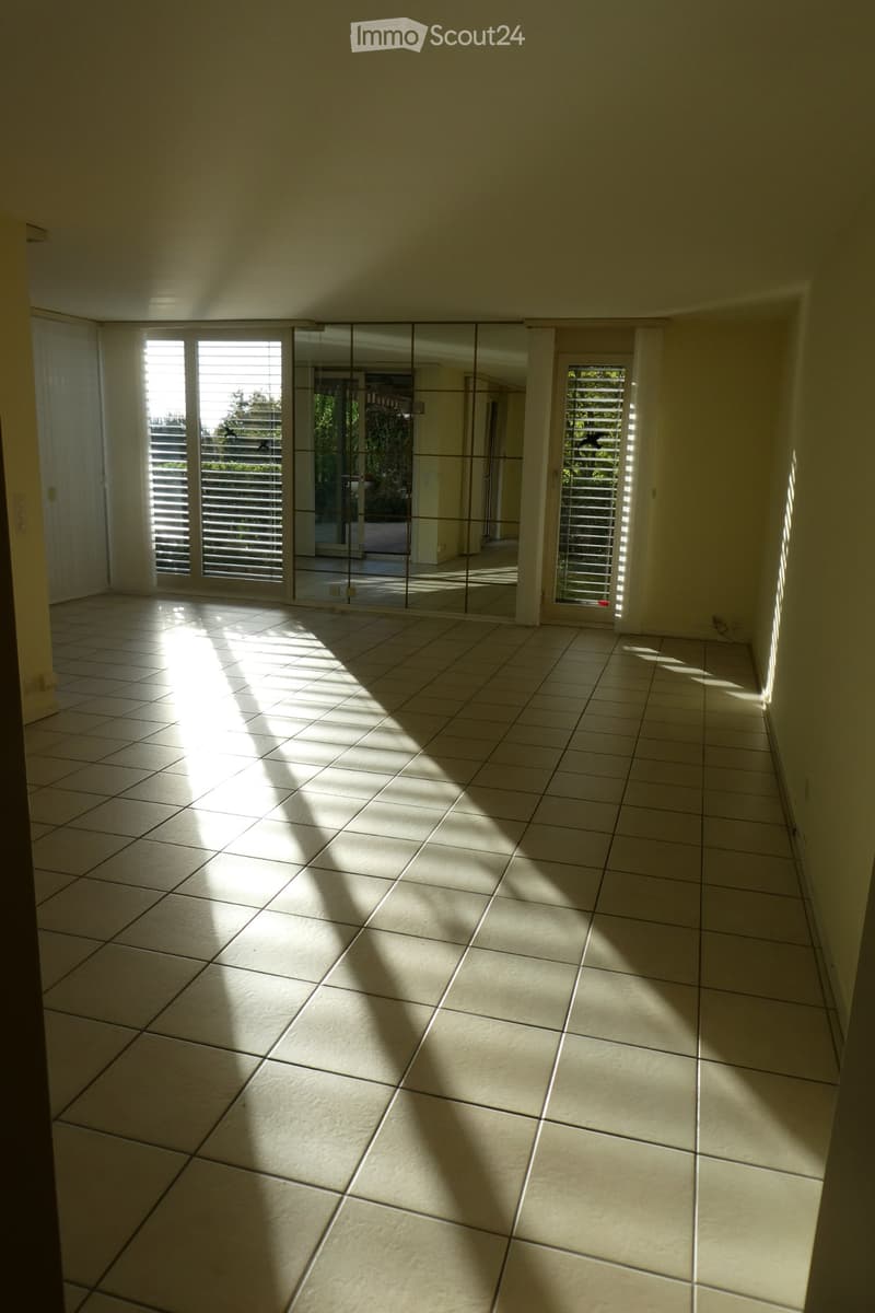 Magnifique 4,5 pièces avec terrasse, jardin et grand dépôt (2)