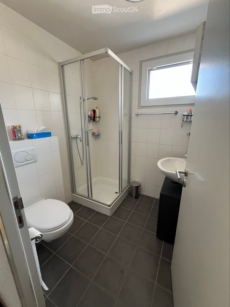 Appartement 6,5 pièces de 150m2 avec 100m2 de terrasse (5)