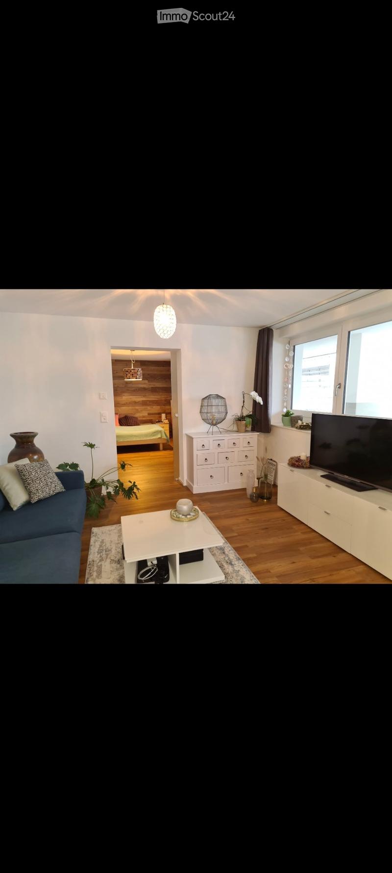 Langnau: Gemütliche moderne Single Wohnung (2)