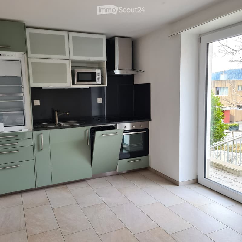 Langnau: Gemütliche moderne Single Wohnung (1)