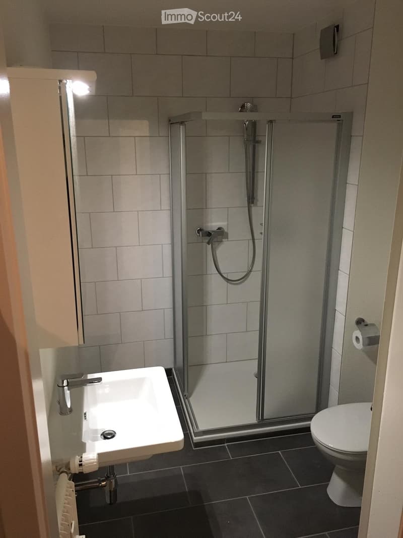 Appartement centre ville de Sierre (2)