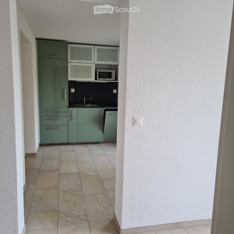 Langnau: Gemütlche ,moderne Single Wohnung (4)