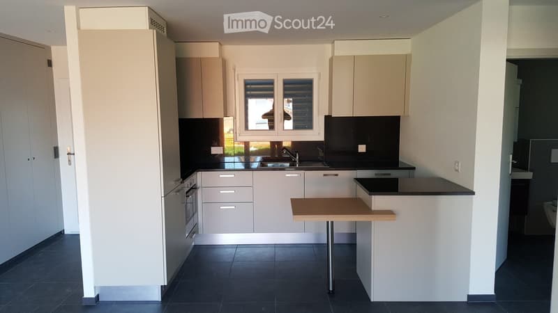 Appartement 2.5 pièce à louer (3)
