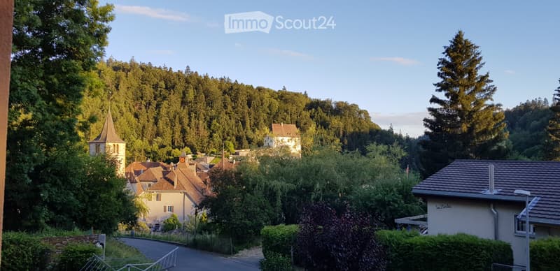 Valangin (Neuchâtel), appartement 3,5 pièces, forêt proche (5)