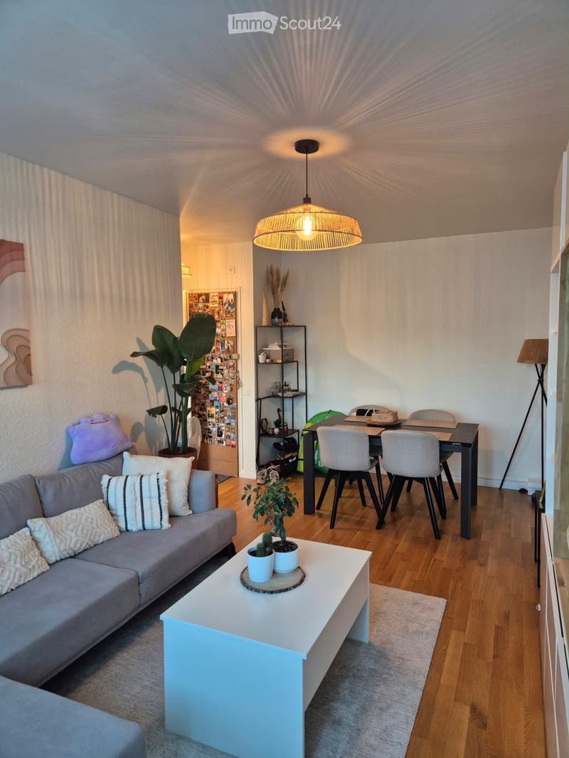 Appartement 3 pièces à Thônex (1)