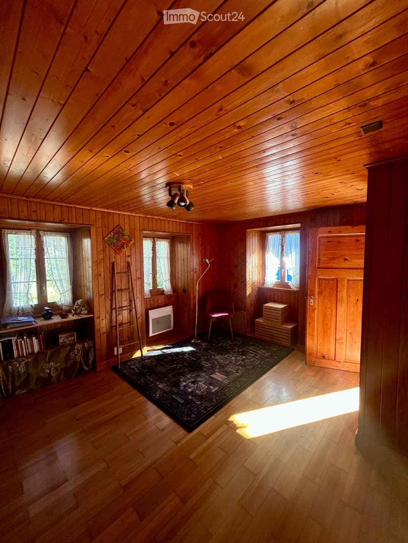 Studio style chalet à St-Martin (1)