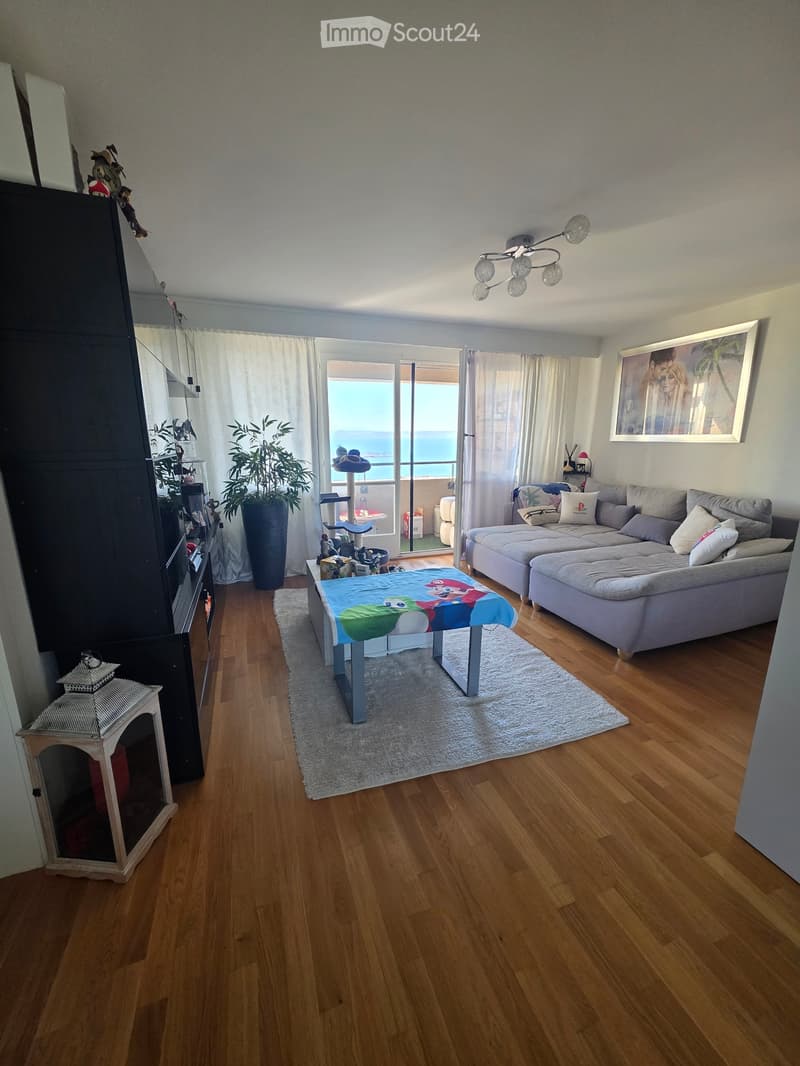 Appartement vue sur le lac (3)