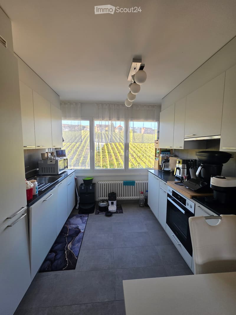 Appartement vue sur le lac (2)