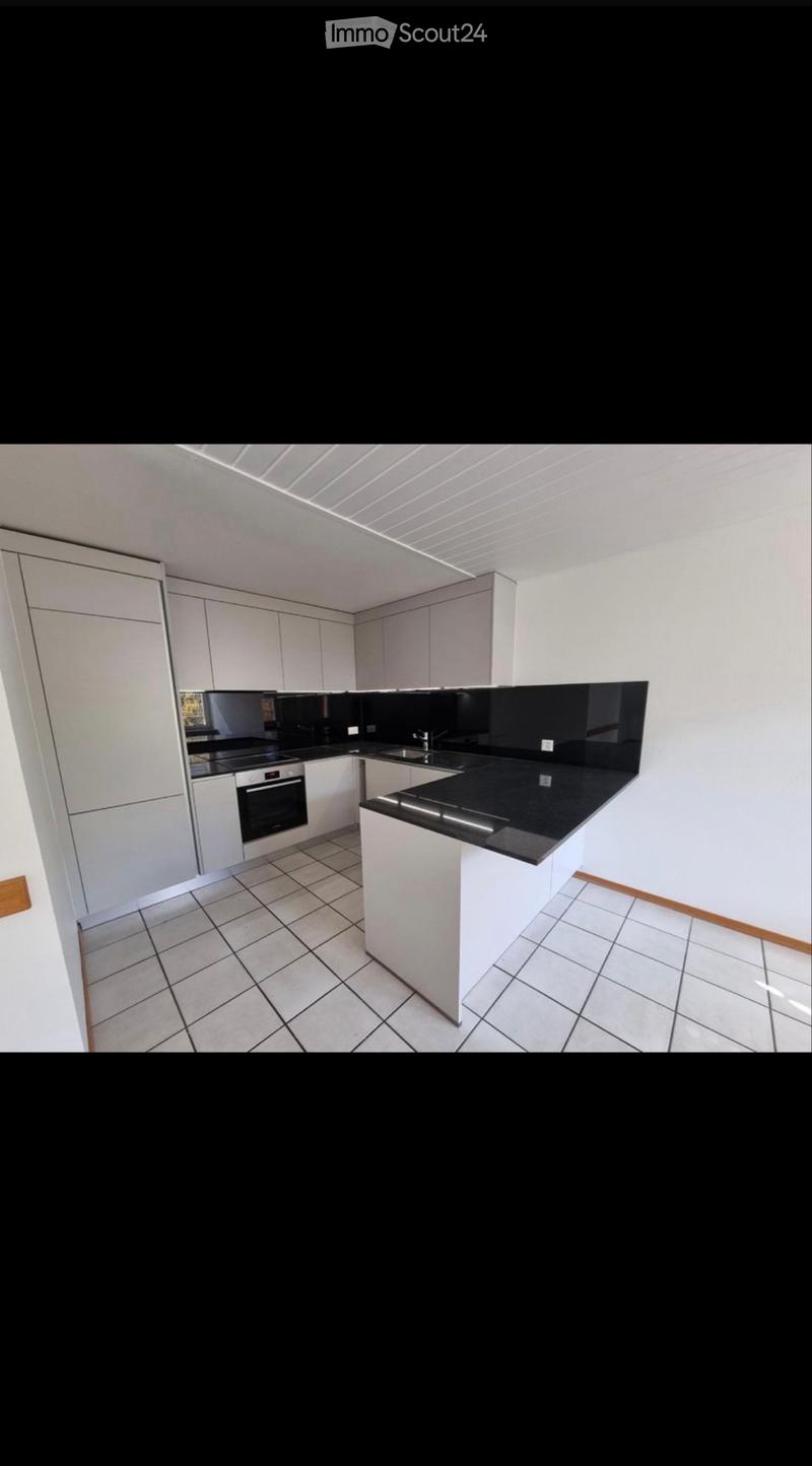Bel appartement 4 pièces Libération pour le 01.01.2027 (1)