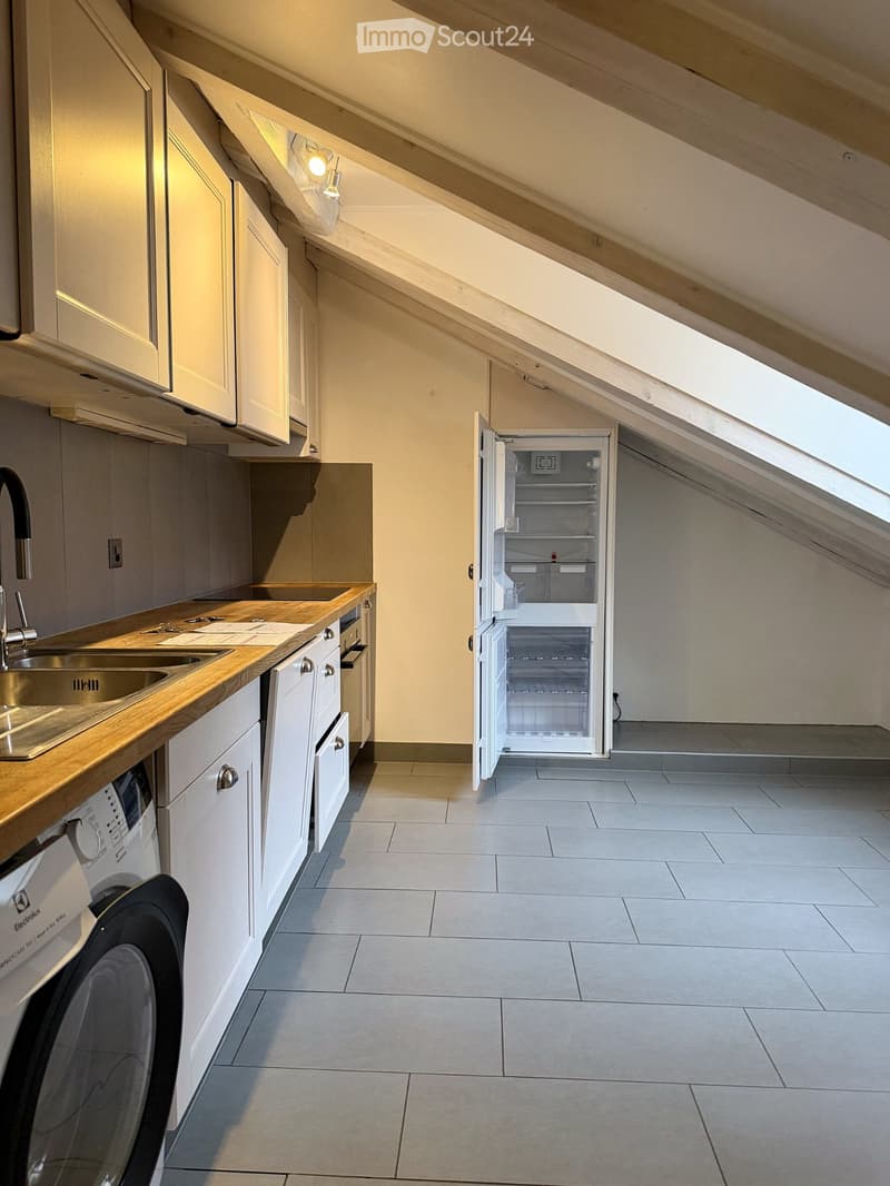 Duplex de caractère 6.5 pièces, 200 m², Quartier du Bourg (7)