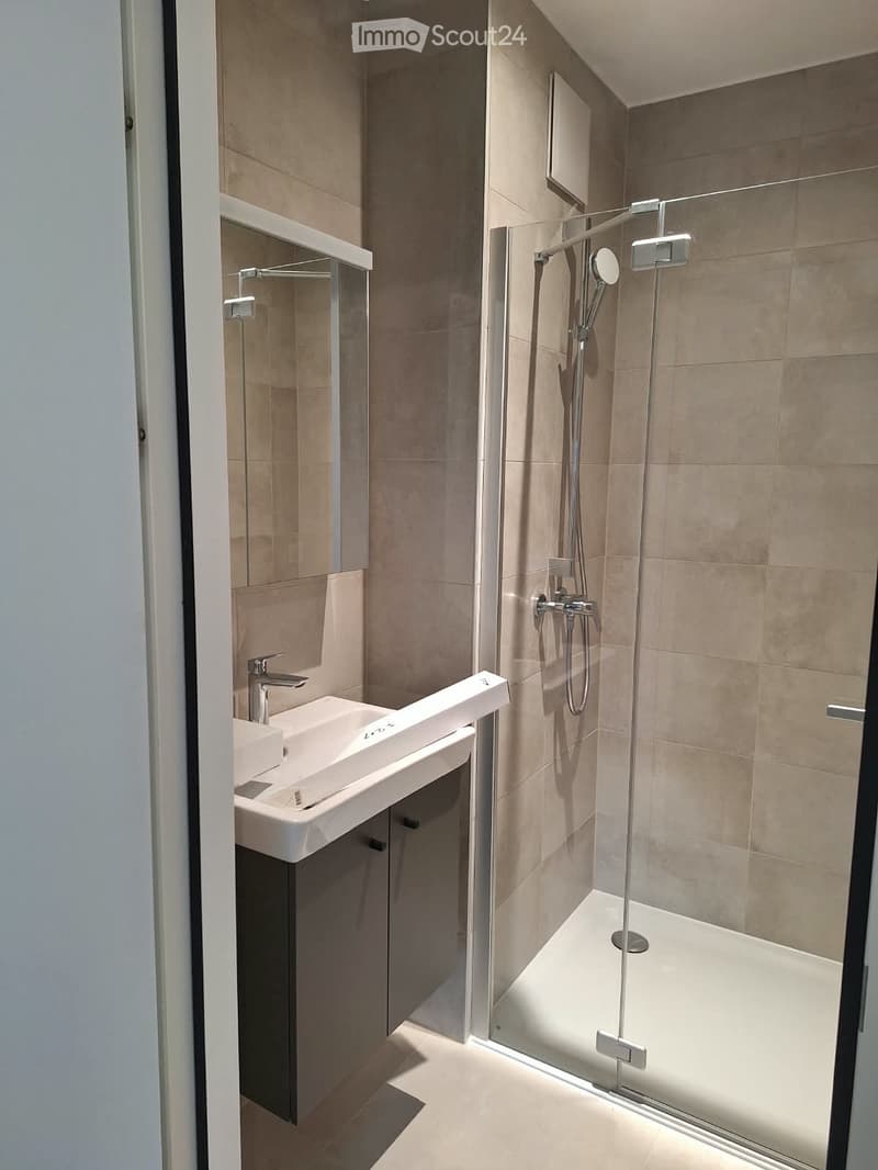 Très bel appartement 2.5 p neuf au cur de Montreux (4)
