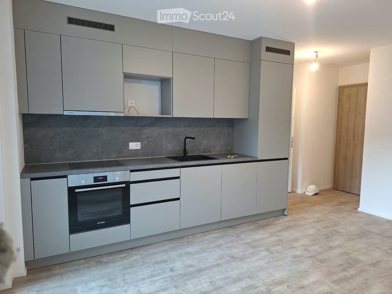 Très bel appartement 2.5 p neuf au cur de Montreux (1)