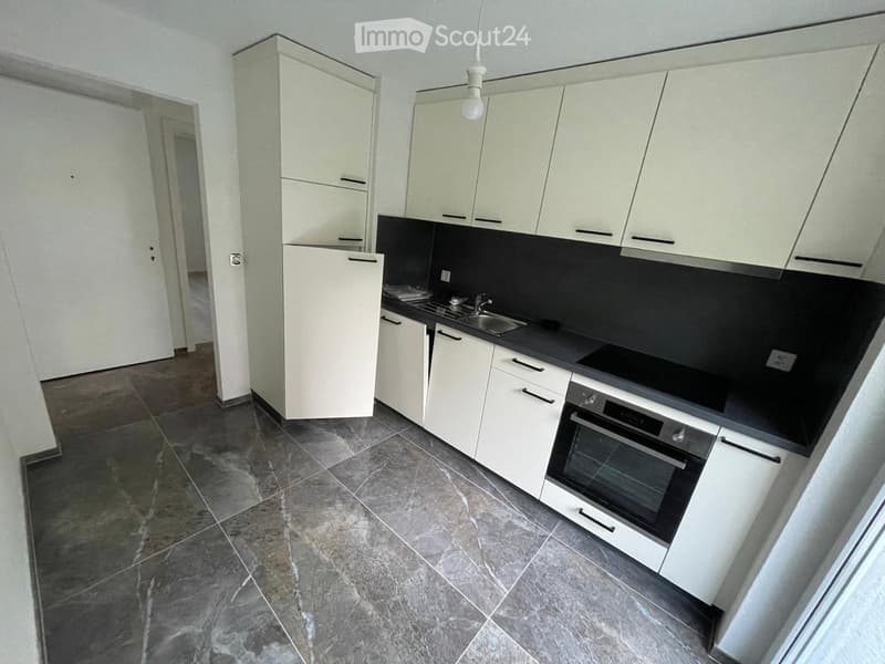 Très bel appartement de 3.5 pcs refait à neuf. 1ère location (2)
