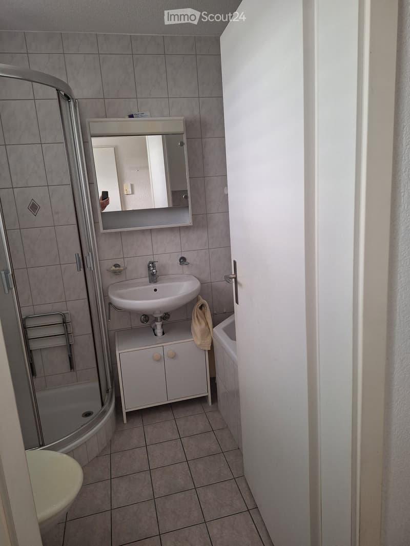 3.5 Zimmer-Wohnung, hell, zentrale Lage (5)