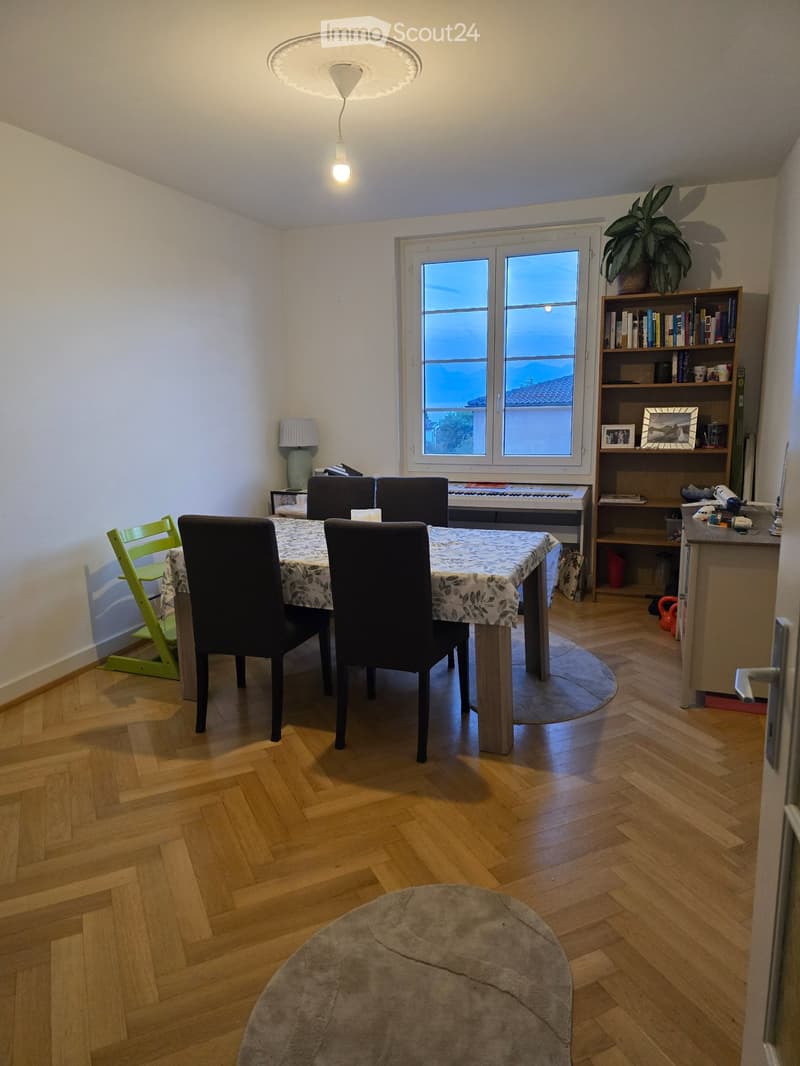 Apartment in Pully (Disponible November 15th) (3)